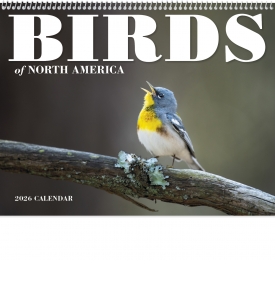 Birds of North America Calendar