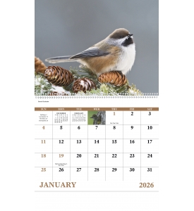 Birds of North America Calendar
