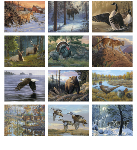 Wildlife Canvas Spiral Calendar