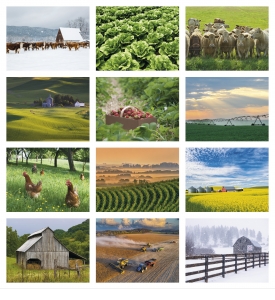 Agriculture Spiral Calendar