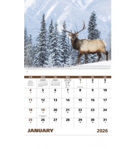 Wildlife Portraits Spiral Calendar