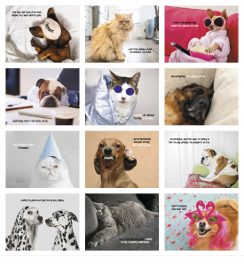 Pets with Attitude Spiral Calendar