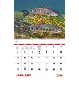 Fishing Spiral Calendar