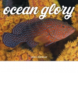 Ocean Glory Calendar