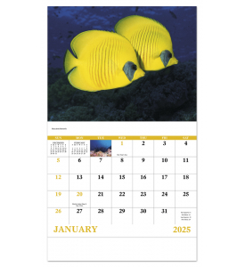 Ocean Glory Calendar