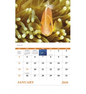 Ocean Glory Calendar