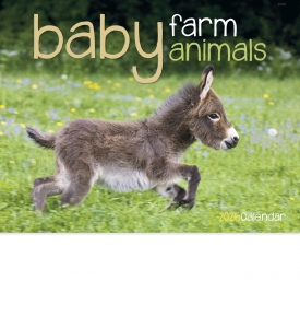 Baby Farm Animals Calendar