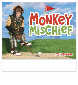 Monkey Mischief Calendar