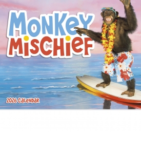 Monkey Mischief Calendar