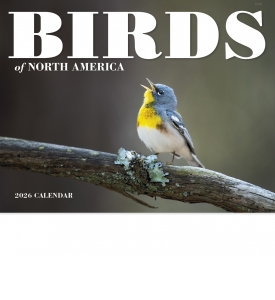 Birds of North America Calendar II