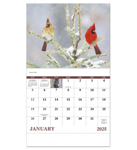 Birds of North America Calendar II