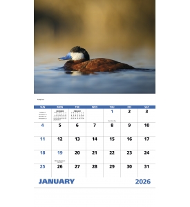 Waterfowl Calendar