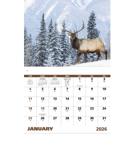Wildlife Portraits Calendar