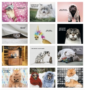 Pets with Attitude Calendar