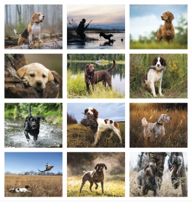 Sporting Dogs Calendar