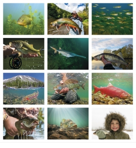 Fishing Calendar