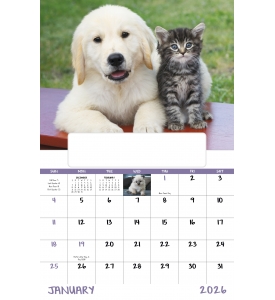 Puppies &amp; Kittens Window Calendar