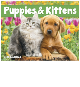 Puppies &amp; Kittens Window Calendar