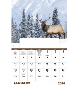 Wildlife Portraits Window Calendar