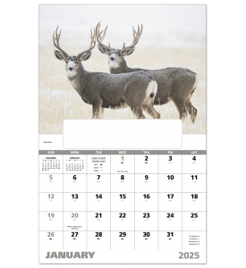 Wildlife Portraits Window Calendar