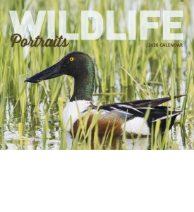 Wildlife Portraits Window Calendar