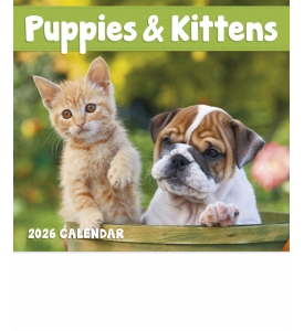 Puppies and Kittens Mini Calendar