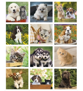 Puppies and Kittens Mini Calendar