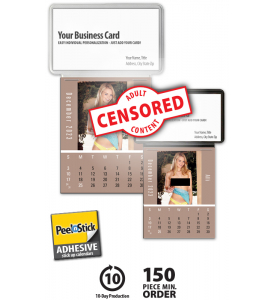 Vitronic Dream Girls Press-n-Stick™ Calendar; Business Card Holder (BLANK)