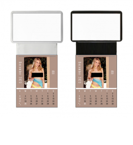 Vitronic Dream Girls Press-n-Stick™ Calendar; Business Card Holder (Imprinted)