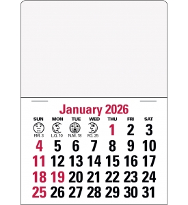 14-Month Press-n-Stick™ Calendar