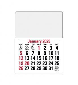 Vitronic 14-Month Press-n-Stick™ Calendar