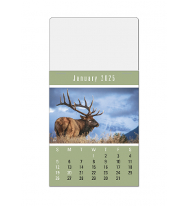 Vitronic Sportsmen Press-n-Stick™ Calendar, Full Color