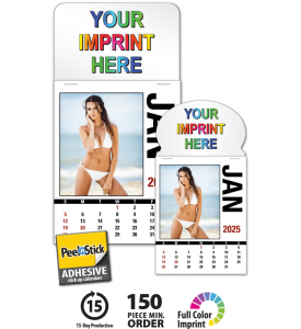 Vitronic Sunshine Girls Press-n-Stick™ Calendar, Full Color