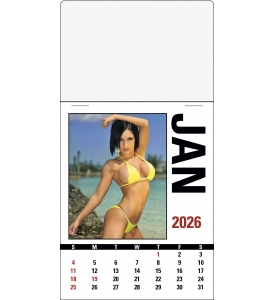 Sunshine Girls Press-n-Stick™ Calendar, Full Color