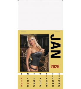 Maiden America Press-n-Stick™ Calendar