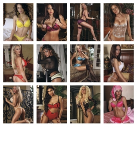 Maiden America Press-n-Stick™ Calendar