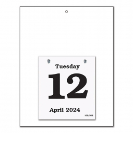 Daily Date Calendars (7 x 9), w/Easel Back