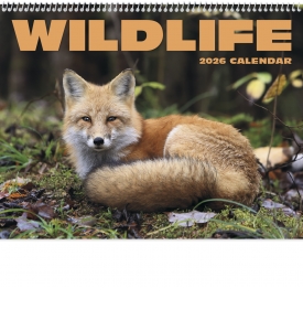 Wildlife II Spiral Calendar