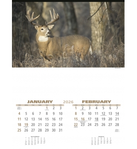 Wildlife (6-Sheet) Calendar