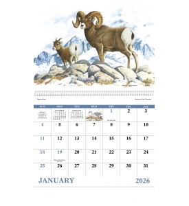 Wildlife Trek Spiral Calendar