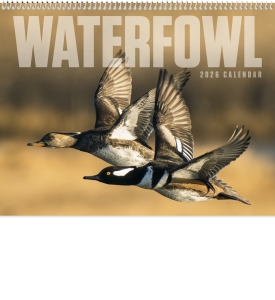 Waterfowl Spiral Calendar
