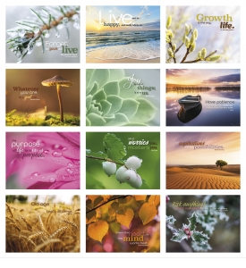 Simplicity Spiral Wall Calendar