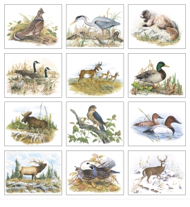 Wildlife Trek Calendar