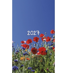 Triumph Colorful Impressions Pocket Planner (3.5x6, Stapled)