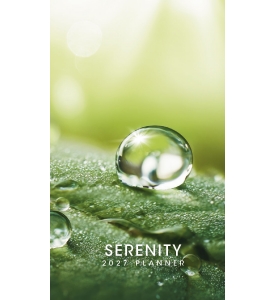 Triumph Colorful Impressions Pocket Planner (3.5x6, Stapled)