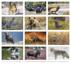 Sportsmen Press-n-Stick™ Calendar, Full Color