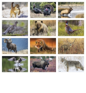 Sportsmen Press-n-Stick™ Calendar
