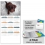 Z-Fold Greeting Card Calendar, Animals