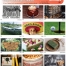 • Image Personalized Individual Name Wall Calendar