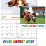 Canine Companions Spiral Wall Calendar